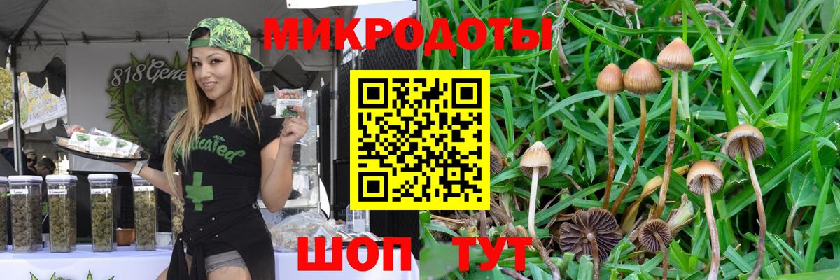 Зеленодольск  Псилоцибиновые грибы прущие грибы  Вход с VPN 